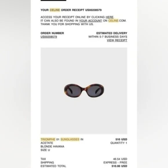 Celine Triomphe 52MM Oval Sunglasses - Picture 9 of 9